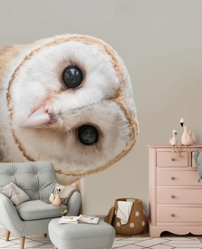 Owl Portrait Wallpaper