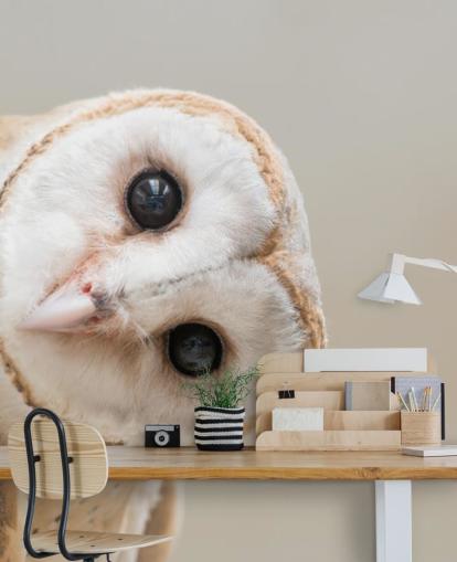 Owl Portrait Behang Owl Portrait Behang