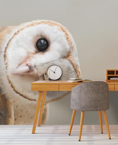 Owl Portrait Wallpaper