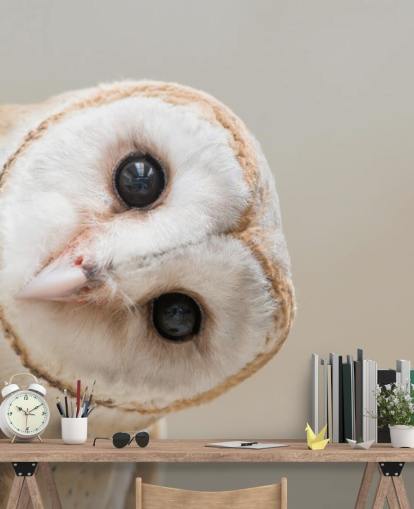 Owl Portrait Wallpaper Owl Portrait Wallpaper