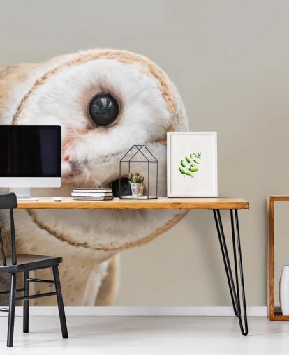 Owl Portrait Wallpaper Owl Portrait Wallpaper