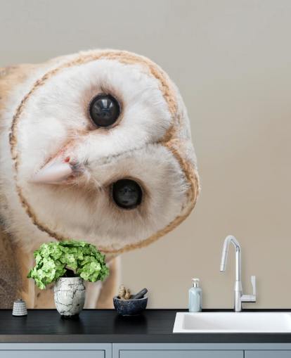 Papier peint portrait hibou