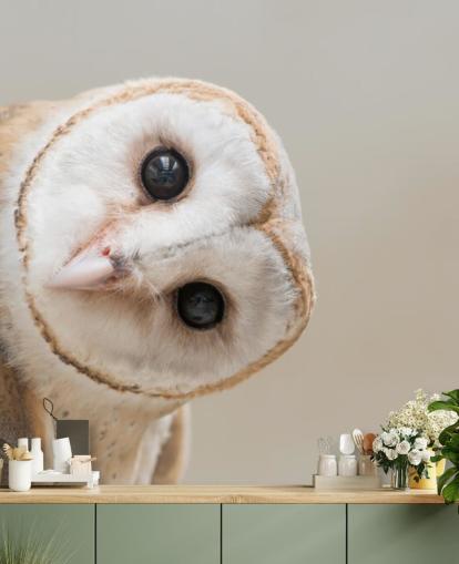 Owl Portrait Wallpaper Owl Portrait Wallpaper