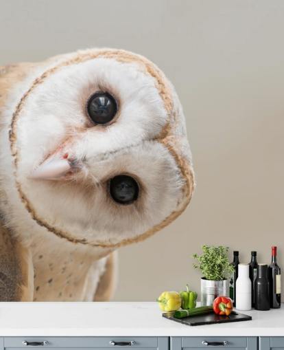 Owl Portrait Wallpaper