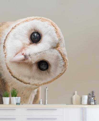 Owl Portrait Wallpaper