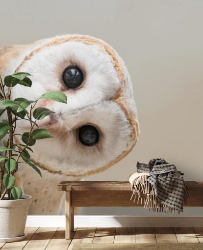 Owl Portrait Wallpaper Owl Portrait Wallpaper