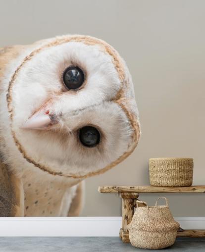 Owl Portrait Wallpaper