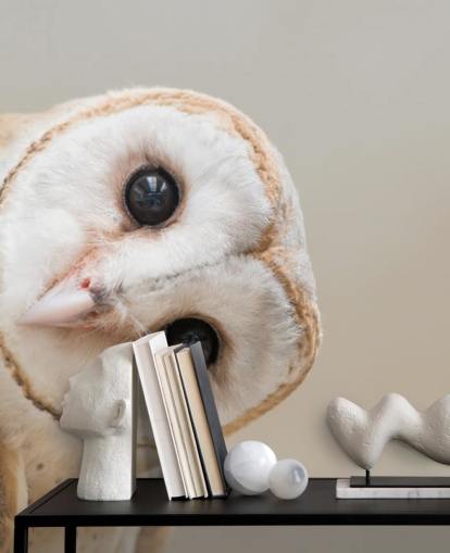 Papier peint portrait hibou