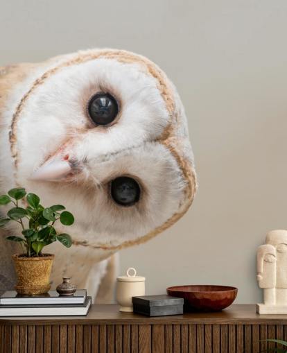 Owl Portrait Wallpaper