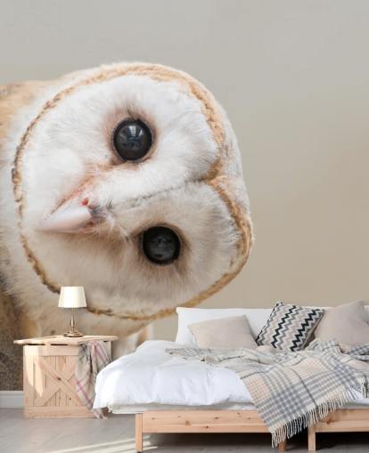 Owl Portrait Behang