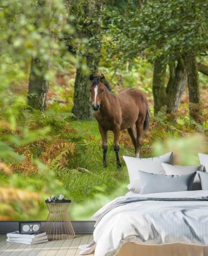 murale con cavallo verde e marrone nella foresta chiamato Wild Horse, New Forest di Assaf Frank
