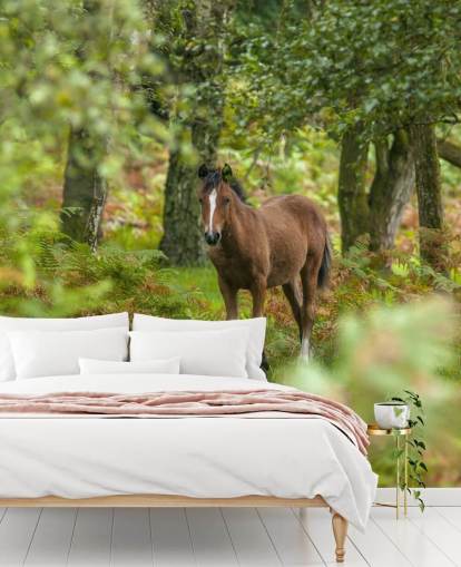 green and brown horse in forest wall mural called Wild Horse, New Forest by Assaf Frank