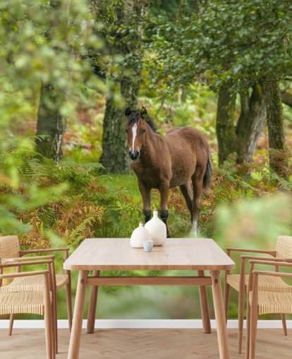 groen en bruin paard in het bos muurschildering genaamd Wild Horse, New Forest van Assaf Frank