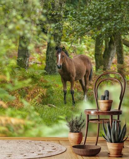 mural de pared de caballo verde y marrón en el bosque llamado Wild Horse, New Forest de Assaf Frank
