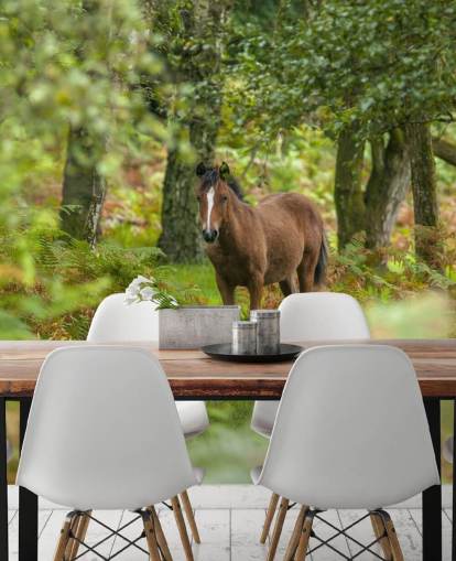 green and brown horse in forest wall mural called Wild Horse, New Forest by Assaf Frank green and brown horse in forest wall mural called Wild Horse, New Forest by Assaf Frank