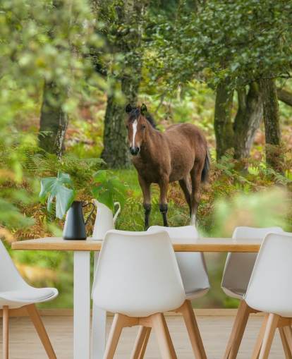 green and brown horse in forest wall mural called Wild Horse, New Forest by Assaf Frank