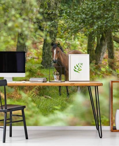green and brown horse in forest wall mural called Wild Horse, New Forest by Assaf Frank