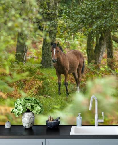 grön och brun häst i skog väggmålning kallad Wild Horse, New Forest av Assaf Frank