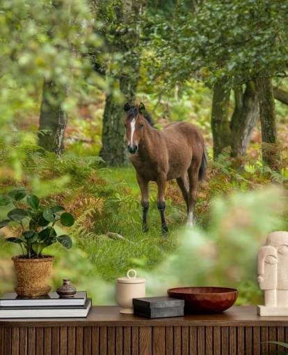 Grünes und braunes Pferd im Wald, Wandbild Wild Horse, New Forest von Assaf Frank Grünes und braunes Pferd im Wald, Wandbild Wild Horse, New Forest von Assaf Frank