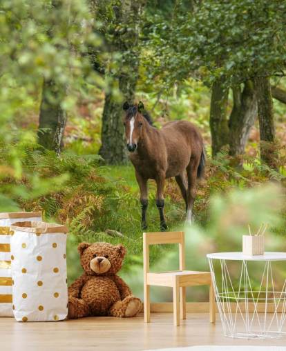 green and brown horse in forest wall mural called Wild Horse, New Forest by Assaf Frank green and brown horse in forest wall mural called Wild Horse, New Forest by Assaf Frank