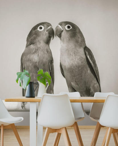 Assaf Frankin mustavalkoinen lintumaalaus nimeltä Love Birds