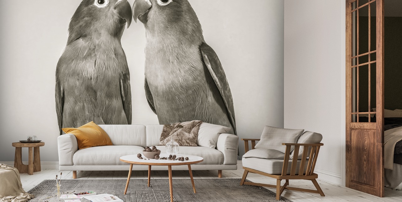 Love Birds Wall Mural | Wallsauce AU