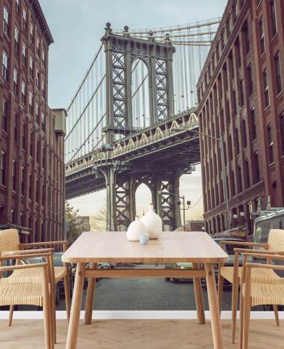 custom new york city mural called Dumbo Manhattan Bridge View by Assaf Frank