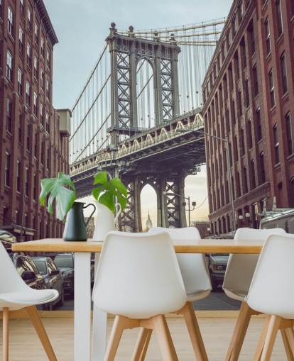 custom new york city mural called Dumbo Manhattan Bridge View by Assaf Frank