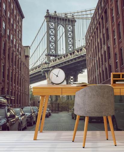 custom new york city mural called Dumbo Manhattan Bridge View by Assaf Frank
