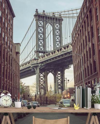 custom new york city mural called Dumbo Manhattan Bridge View by Assaf Frank