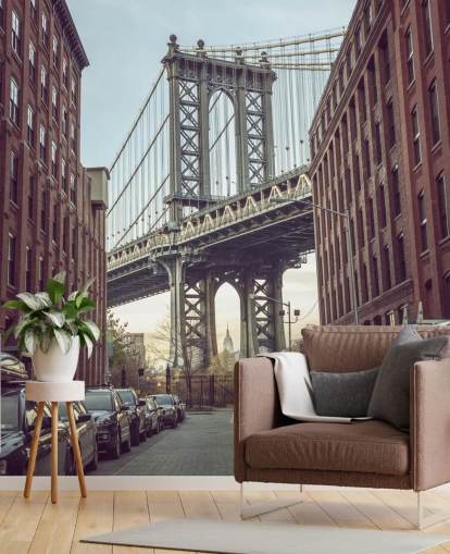 custom new york city mural called Dumbo Manhattan Bridge View by Assaf Frank