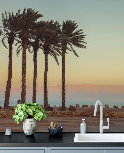 customisable palm tree beach mural called Palm Trees, Dead Sea by Assaf Frank
