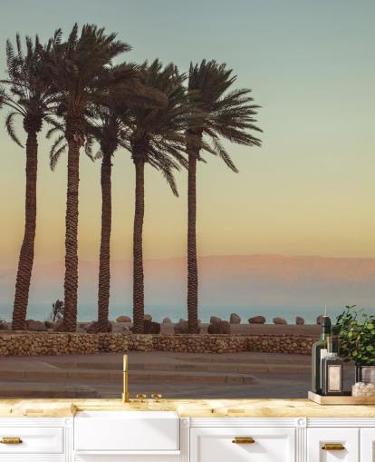 mural de praia com palmeiras personalizável chamado Palm Trees, Dead Sea, de Assaf Frank mural de praia com palmeiras personalizável chamado Palm Trees, Dead Sea, de Assaf Frank
