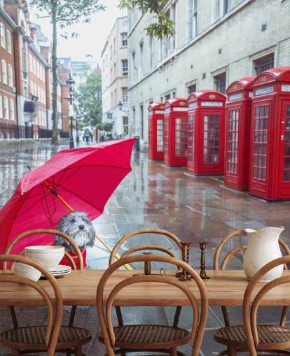rode en grijze Londense straatmuurschildering genaamd London Dog with Umbrella van Assaf Frank