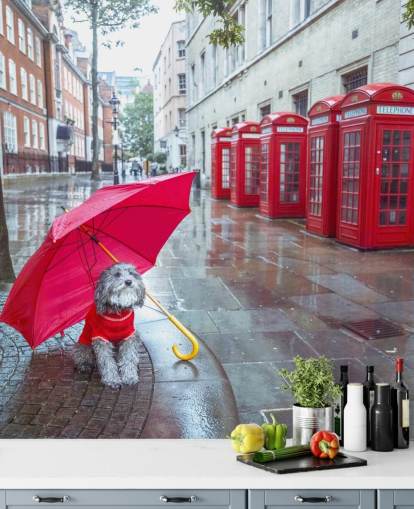 murale londinese rosso e grigio chiamato London Dog with Umbrella di Assaf Frank
