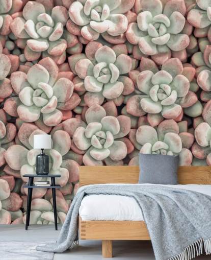 mural de pared fotográfico de plantas rosas y verdes llamado Suculentas de Assaf Frank