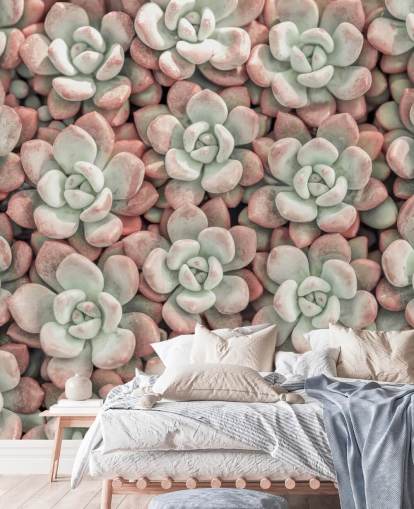 mural de pared fotográfico de plantas rosas y verdes llamado Suculentas de Assaf Frank