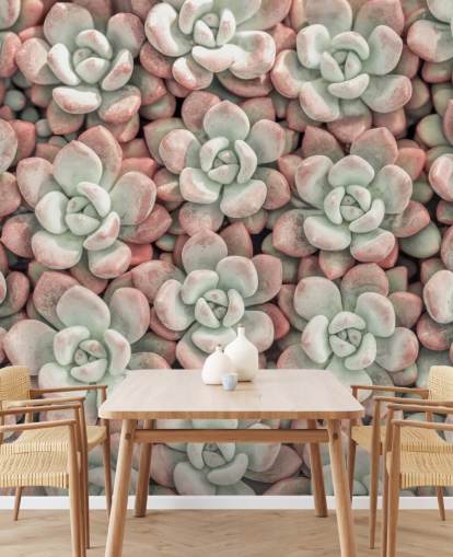 fotobehang met roze en groene planten genaamd Succulents van Assaf Frank