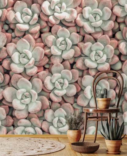 mural de pared fotográfico de plantas rosas y verdes llamado Suculentas de Assaf Frank