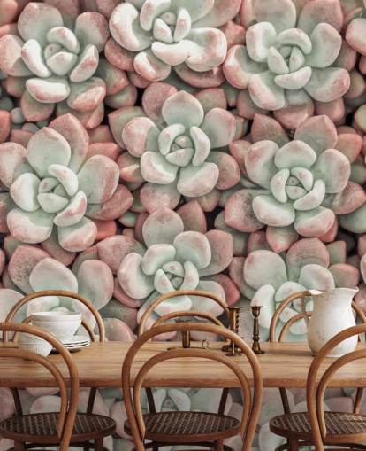 fresque murale avec photos de plantes roses et vertes intitulée Succulents par Assaf Frank