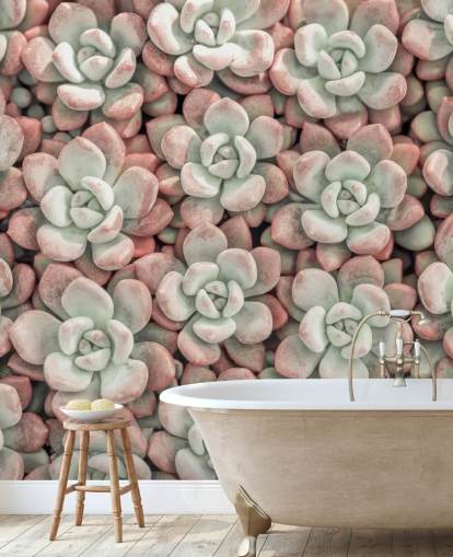 mural de pared fotográfico de plantas rosas y verdes llamado Suculentas de Assaf Frank