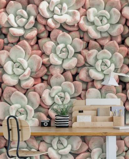 mural de parede com fotos de plantas rosa e verde chamado Succulents, de Assaf Frank mural de parede com fotos de plantas rosa e verde chamado Succulents, de Assaf Frank