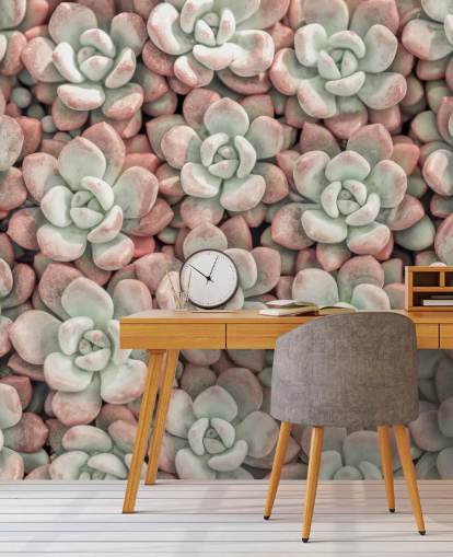 rosa og grønn plantefototapet kalt Succulents av Assaf Frank rosa og grønn plantefototapet kalt Succulents av Assaf Frank