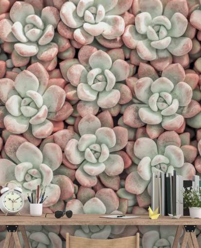 mural de pared fotográfico de plantas rosas y verdes llamado Suculentas de Assaf Frank