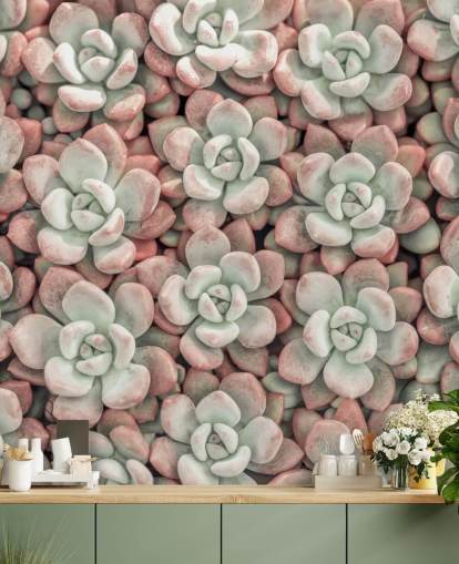 mural de pared fotográfico de plantas rosas y verdes llamado Suculentas de Assaf Frank mural de pared fotográfico de plantas rosas y verdes llamado Suculentas de Assaf Frank