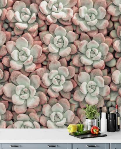 mural de pared fotográfico de plantas rosas y verdes llamado Suculentas de Assaf Frank
