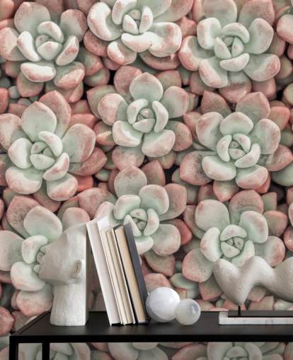 fotobehang met roze en groene planten genaamd Succulents van Assaf Frank fotobehang met roze en groene planten genaamd Succulents van Assaf Frank