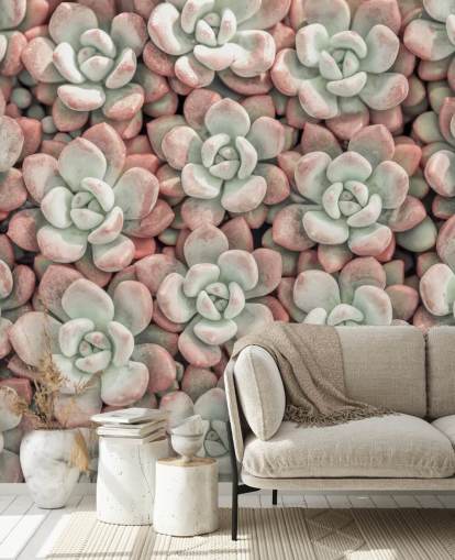 mural de pared fotográfico de plantas rosas y verdes llamado Suculentas de Assaf Frank