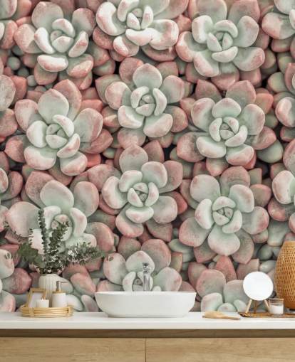 pink and green plant photo wall mural called Succulents by Assaf Frank