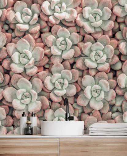 fresque murale avec photos de plantes roses et vertes intitulée Succulents par Assaf Frank fresque murale avec photos de plantes roses et vertes intitulée Succulents par Assaf Frank